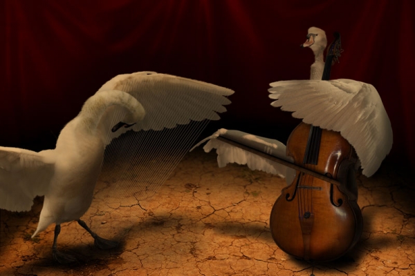 Creation of Strings on Swans: Step 10